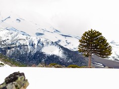 Productora Fotográfica Nativo - PAISAJES