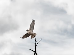 Productora Fotográfica Nativo - PAISAJES