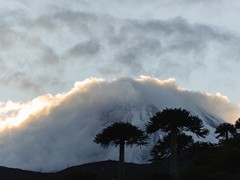 Productora Fotográfica Nativo - PAISAJES