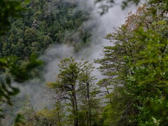 Productora Fotográfica Nativo - PAISAJES